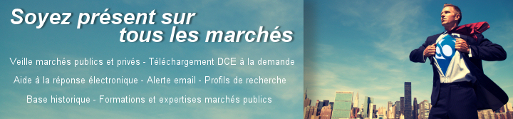 Veille sur les appels d'offres publics dématérialisés