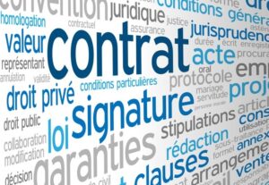 nuage de mots clés, focus sur les contrats
